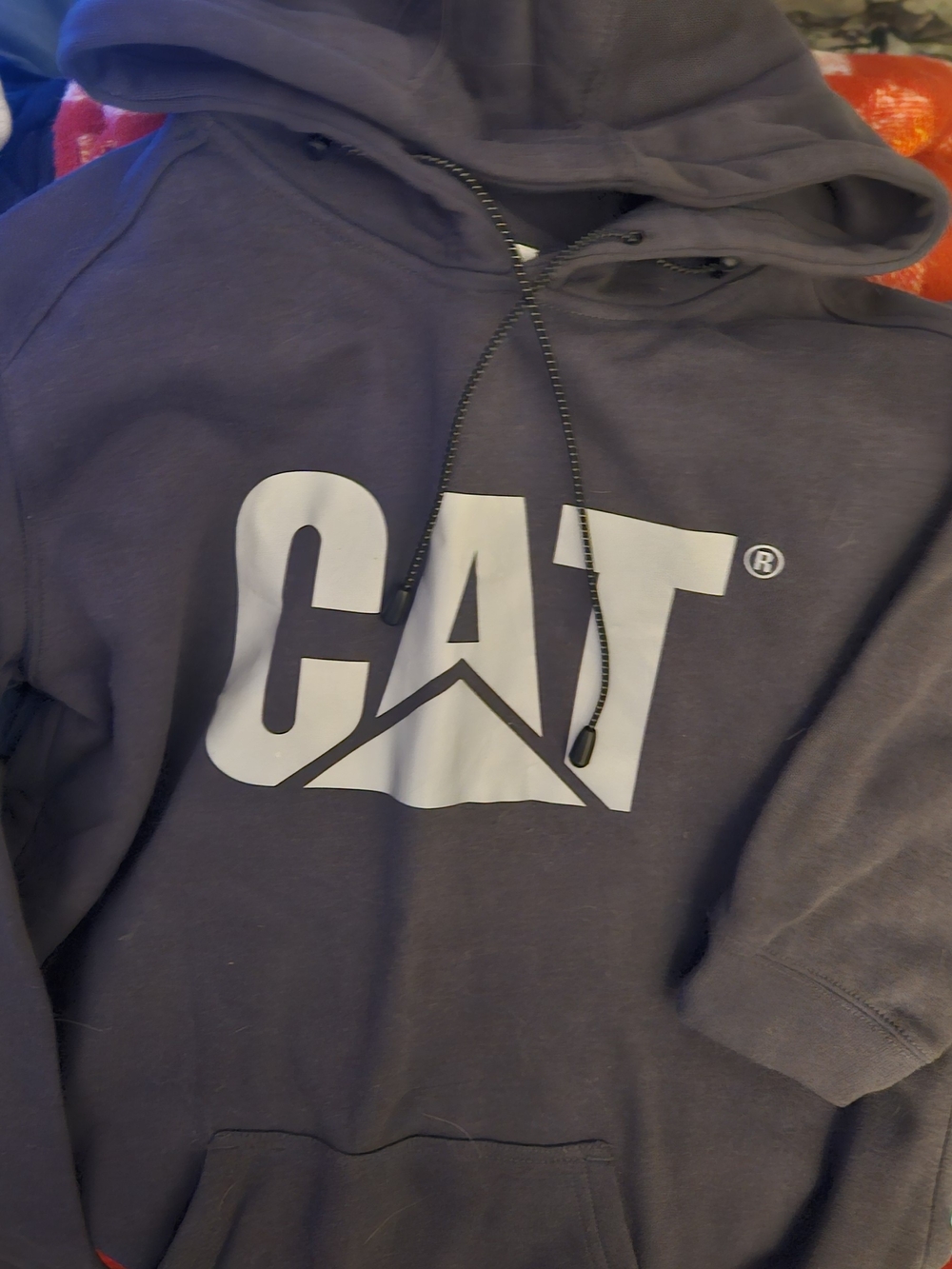 Hooded Sweatshirt in Dark Gray -